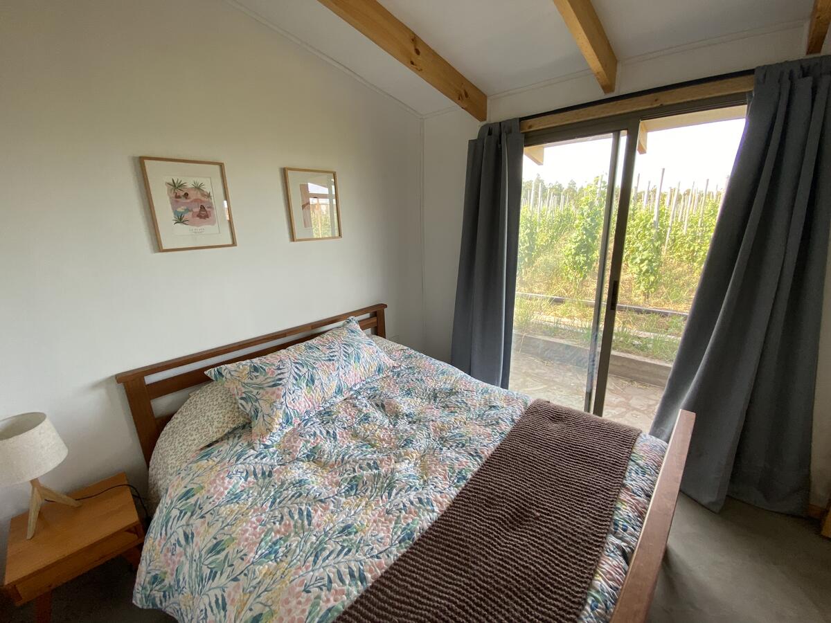 Cama en viñedo